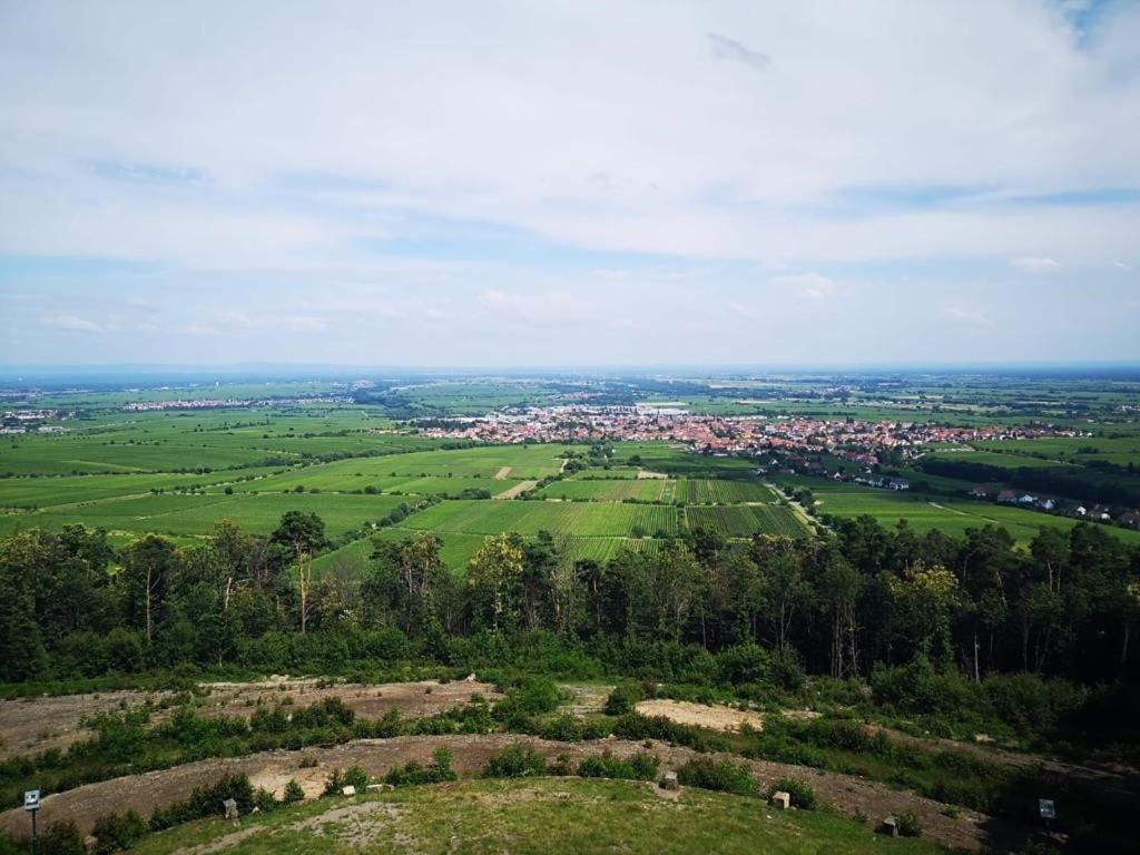 Wohnen Im Herzen Der Pfalz Neustadt an der Weinstrasse Luaran gambar